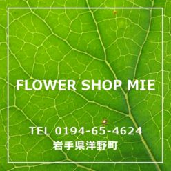 Flower shop mie gallery